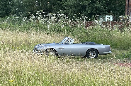 Aston DB5 at Summer BBQ